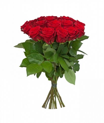 15 красных роз - купить с доставкой по Кемерово