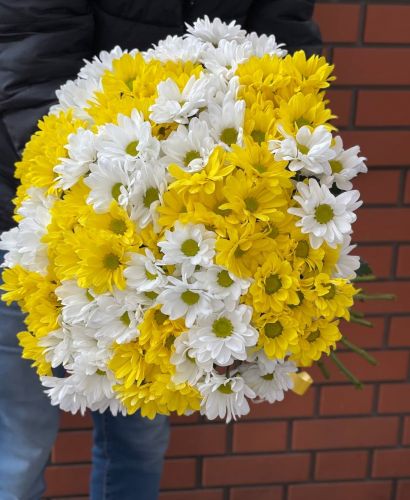 Купить букет из разноцветных хризантем с доставкой по Кемерово